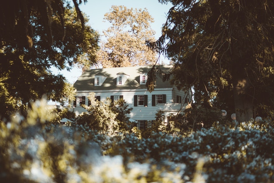 A house surrounded by greenery.