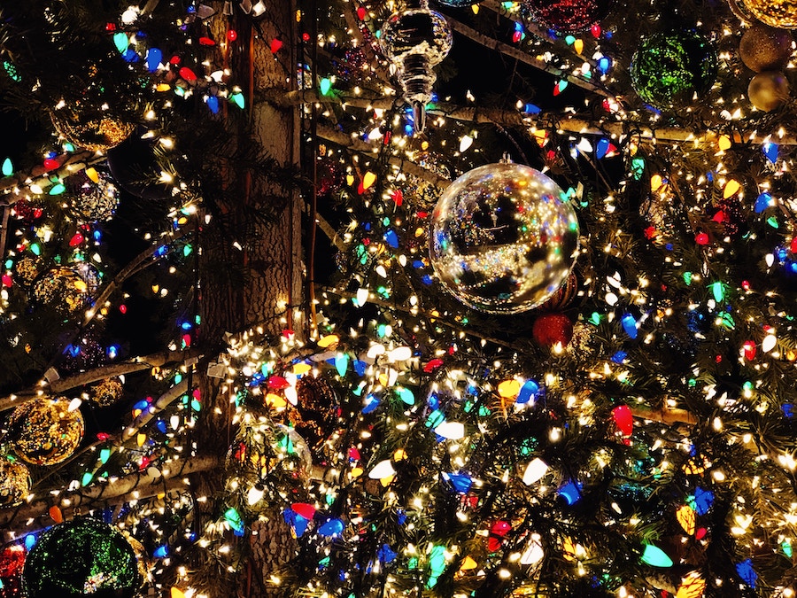 Holiday light displays in tree